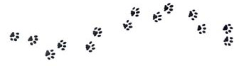 Pawprints