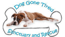 DoggoneTiredSanctuary Logo