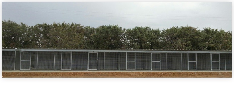 The kennels are roomy, clean and protected from the elements at  Dog Gone Tired Sanctuary and Rescue.