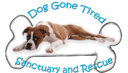 Dog Gone Tired Sanctuary and Rescue is located in Aqua Dulce, California.  
